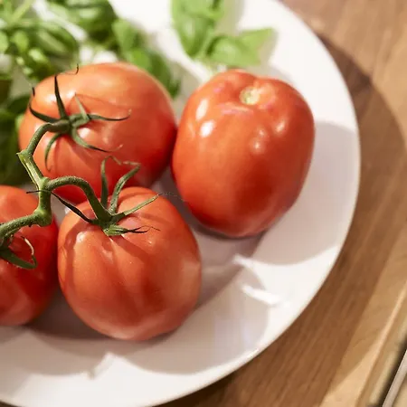 Apartment Haus Scharhoern_riff _ 15 Cuxhaven